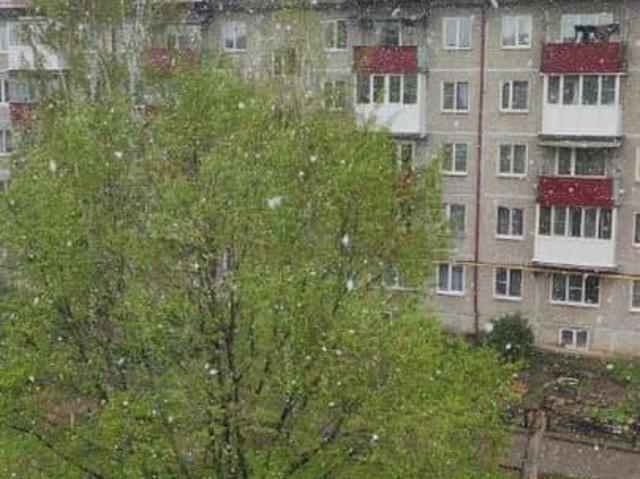 Квартира продажа в Семенов, Тыва Республика