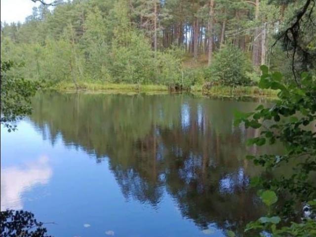 Квартира продажа в Сосновый Бор, Ленинградская область