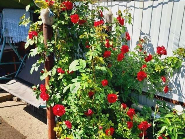 Квартира продажа в Ступино Д, Кабардино-Балкарская Республика
