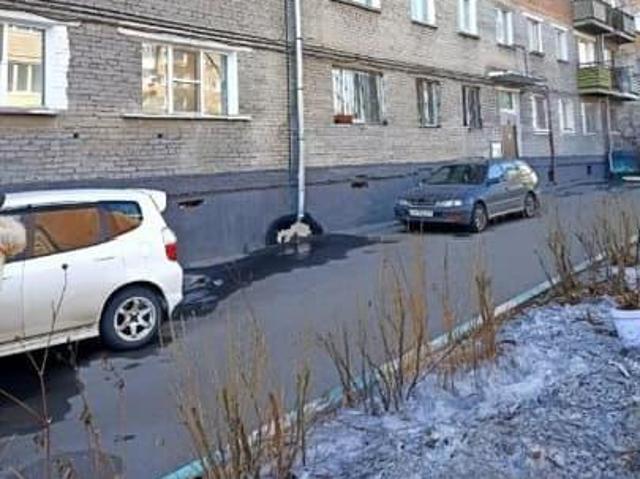 Квартира продажа в Железнодорожный район, Улан-Удэ