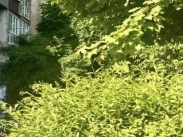 Квартира продажа в Владикавказ