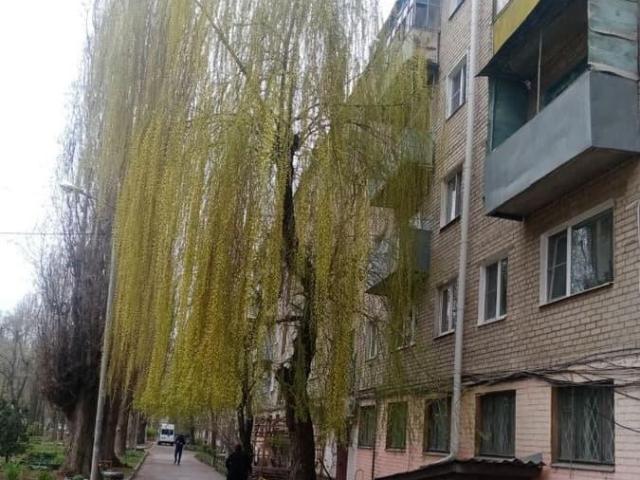 Квартира продажа в Воронеж, Воронежская область