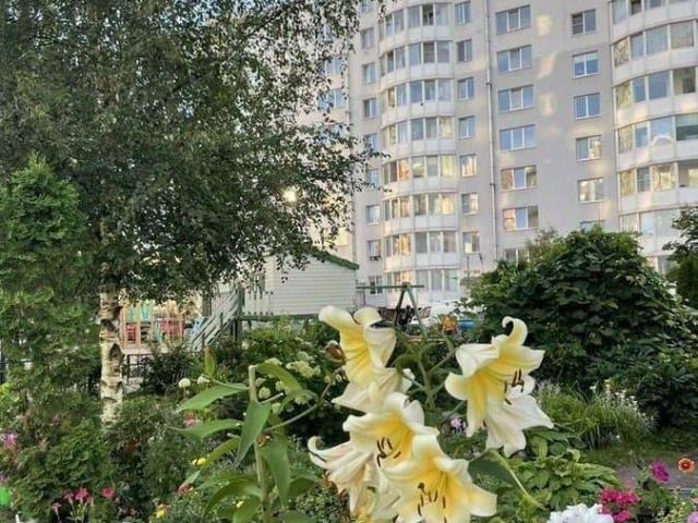 Квартира продажа в Всеволожск, Ленинградская область
