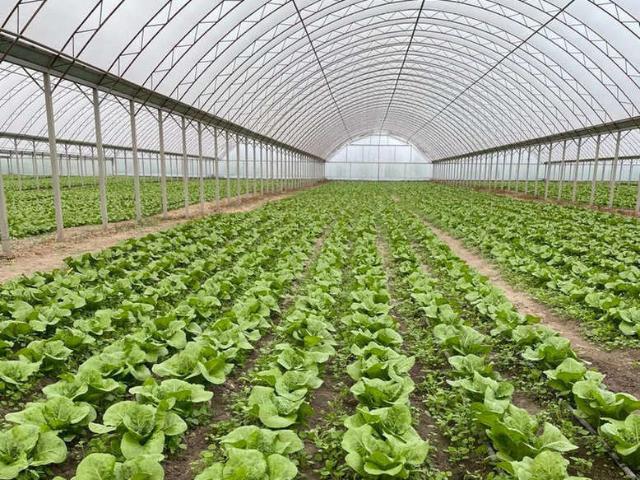 Недвижимость продажа в Гирей, Краснодарский Край