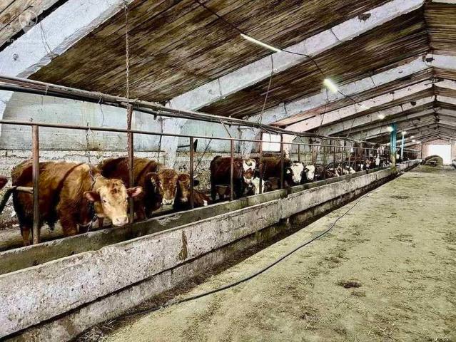 Недвижимость продажа в Рязанская область