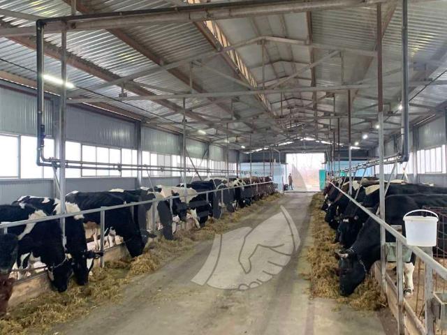 Недвижимость продажа в Краснодарский Край