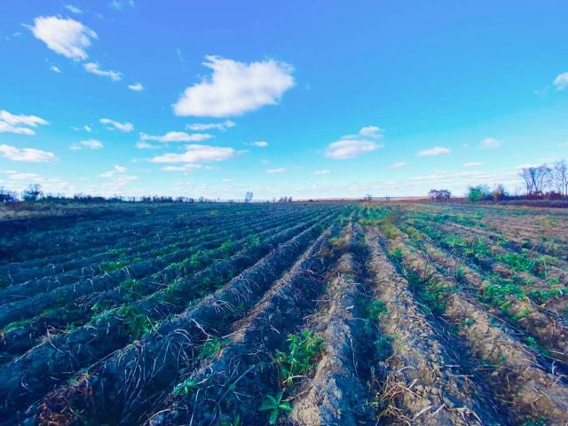 Недвижимость продажа в Амурская область