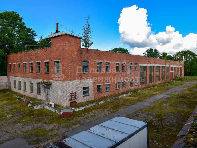 Недвижимость продажа в Новгородская область
