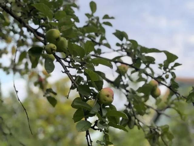 Дом продажа в Казань, Татарстан Республика
