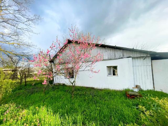 Дом продажа в Полтавская Ст-ца, Краснодарский Край