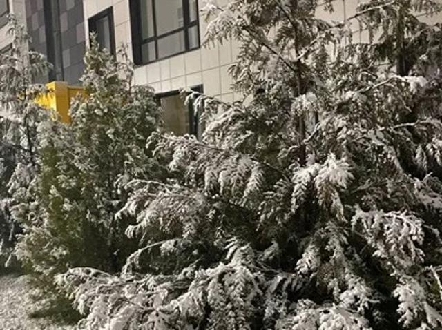 Квартира продажа в Восточный мкр, городской округ Батайск