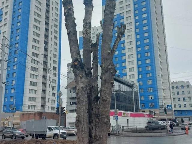 Квартира продажа в Новосибирск, Новосибирская область