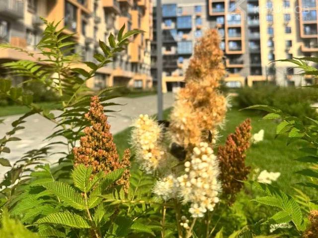 Квартира продажа в Ямное, Воронежская область