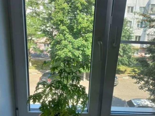 Квартира продажа в Старый Оскол, Белгородская область