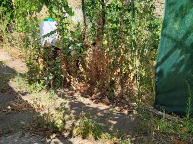Дом продажа в Великодолинском, Днепропетровской области