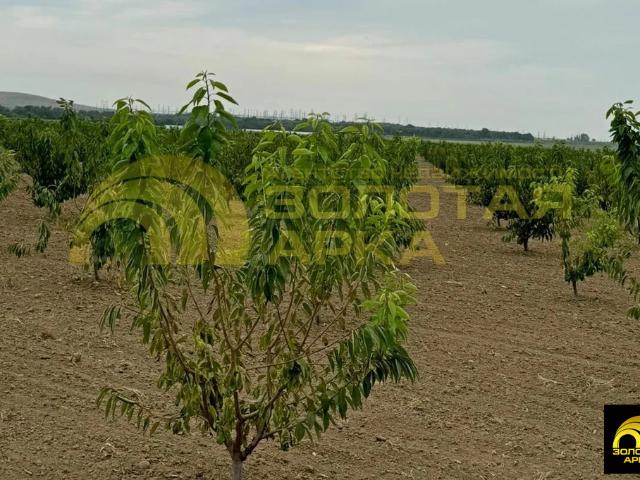 Участок продажа в Старотитаровская Ст-ца, Краснодарский Край