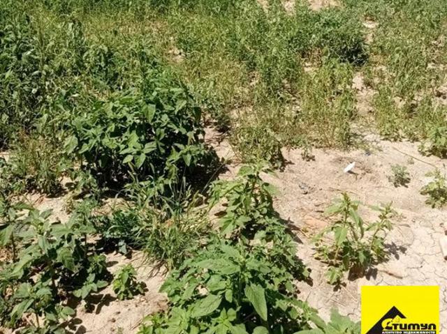 Участок продажа в Воронцовка, Ейский район
