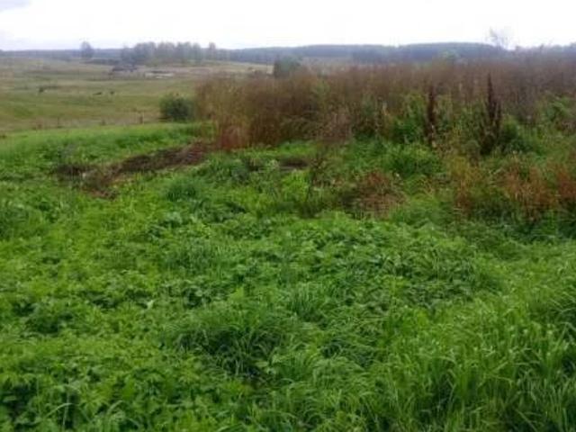 Участок продажа в Дуванский, Башкортостан Респ