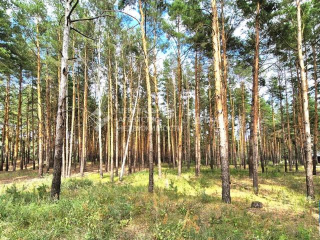 Участок продажа в Рязанский район, Центральный федеральный округ