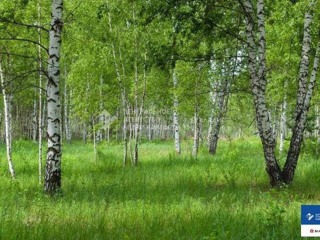 Участок продажа в Рязанская область