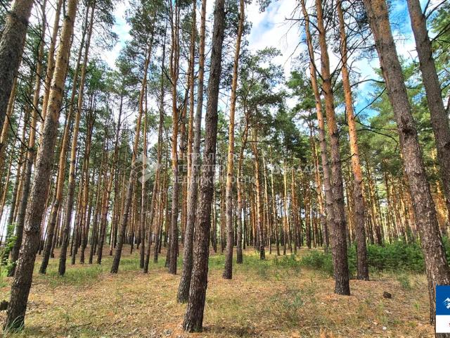 Участок продажа в Рязанская область