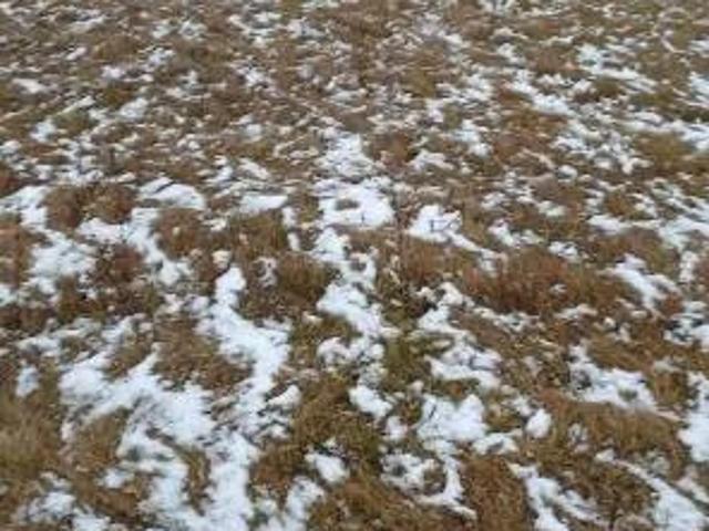 Участок продажа в Башкортостан Респ