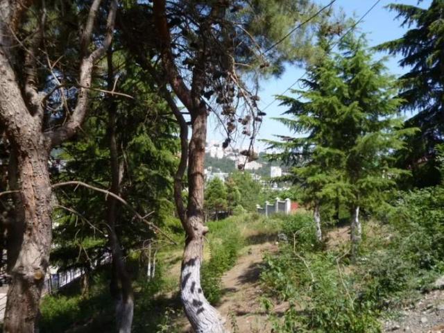 Участок продажа в Ялта