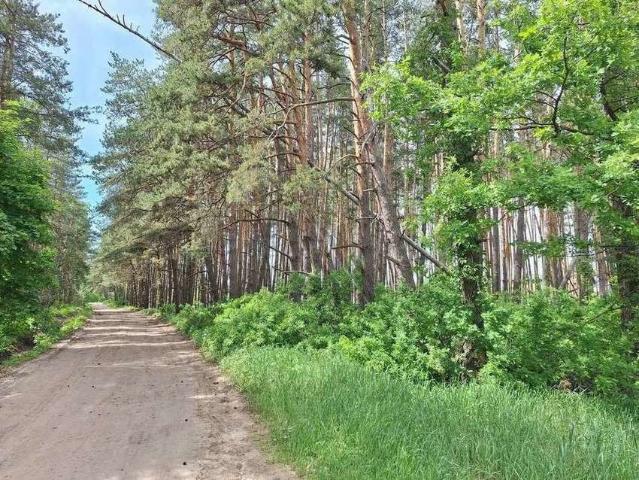 Участок продажа в Ямное, Воронежская область