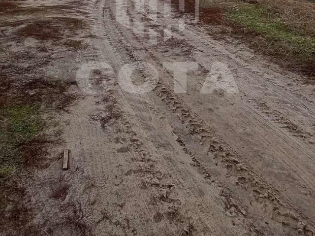 Участок продажа в Ямное, Воронежская область