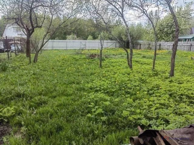 Участок продажа в Балакирево П, Владимирская область