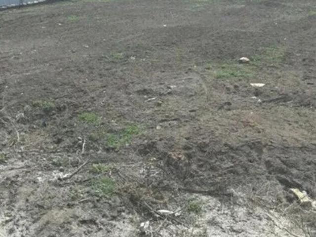 Участок продажа в ДНТ «Труд», городской округ Батайск