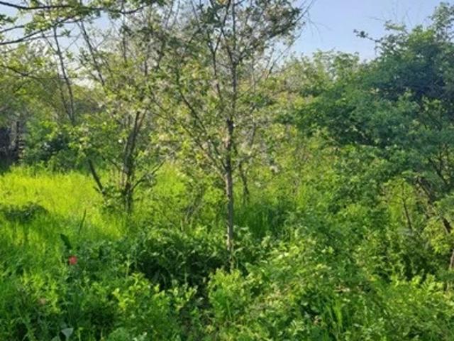 Участок продажа в ДНТ «Ягодка», городской округ Батайск