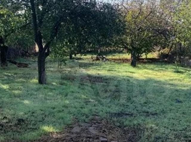 Участок продажа в ДНТ «Дружба», городской округ Батайск