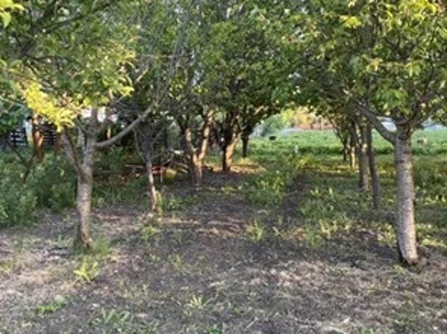 Участок продажа в ДНТ «Весна», городской округ Батайск