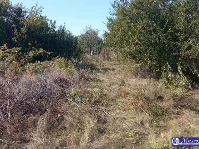 Участок продажа в ДНТ «Весна», городской округ Батайск