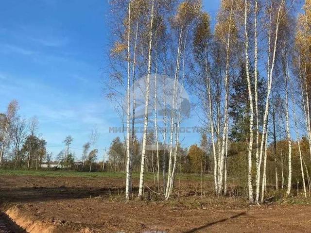 Участок продажа в Белая Гора Д, Новгородская область