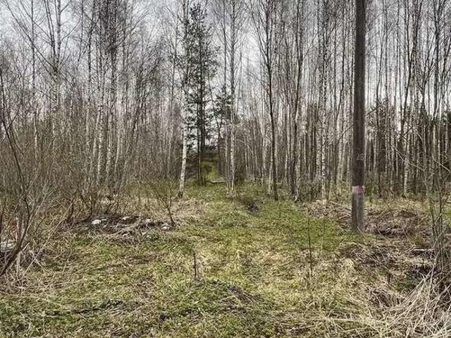 Участок продажа в Новозавидовский, Конаковский муниципальный округ