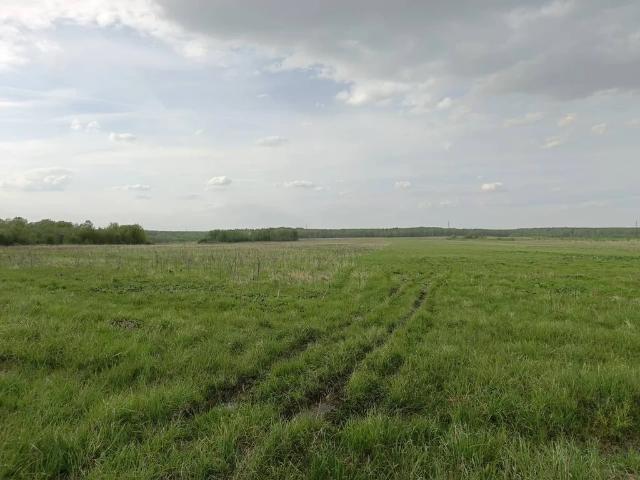 Участок продажа в Богородское, Сергиево-Посадский городской округ