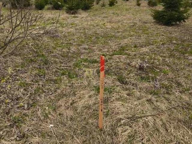 Участок продажа в Тверская область