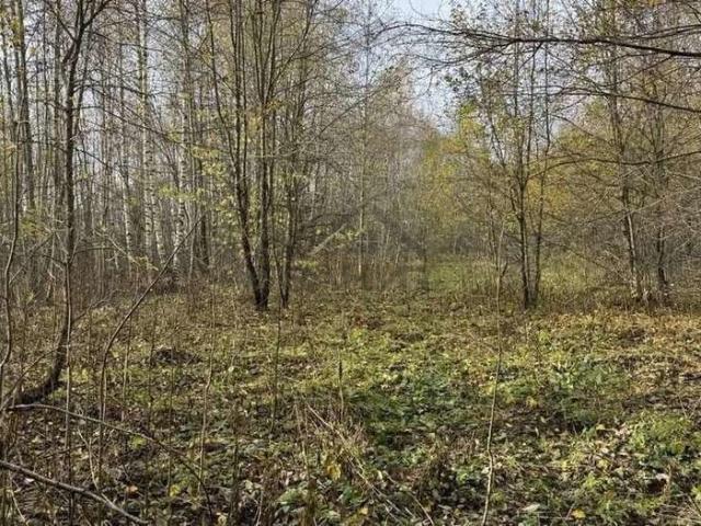 Участок продажа в Новгородская область
