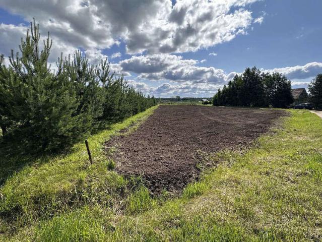 Участок продажа в Васильевское, Вологодская область