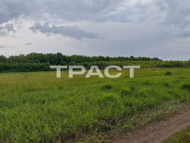 Участок продажа в Воронежская область