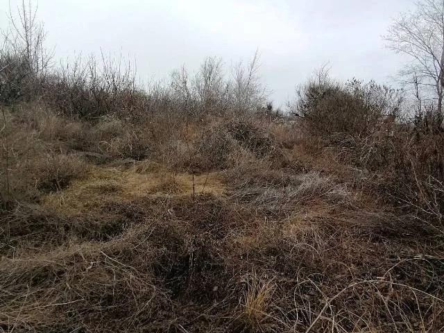 Участок продажа в Дубовский Р-н, Волгоградская Обл