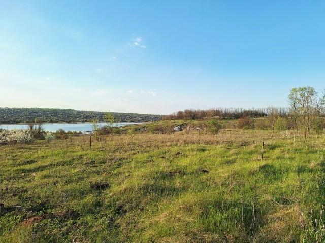 Участок продажа в Корочанский, Белгородская область