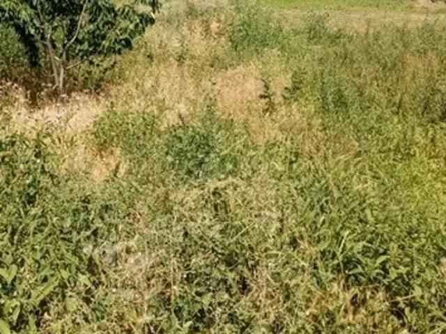 Участок продажа в Старые дачи, Ейск