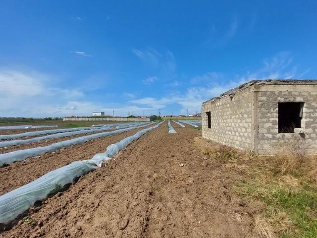 Участок продажа в Голубицкая Ст-ца, Краснодарский Край