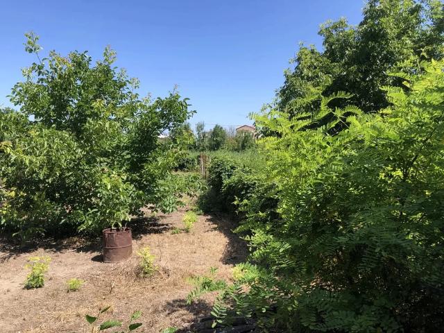 Участок продажа в Голубицкая Ст-ца, Краснодарский Край