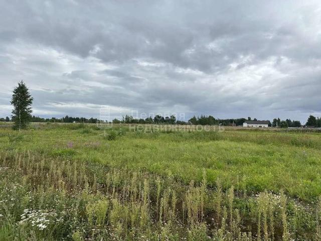 Участок продажа в Новгородская область