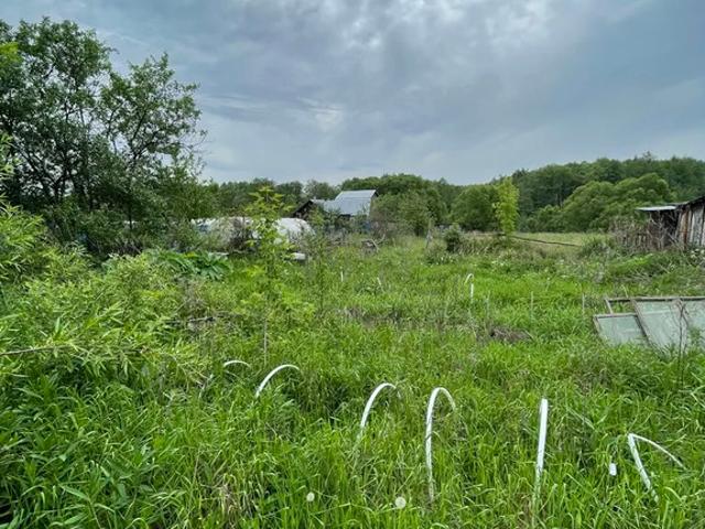 Участок продажа в Госконюшня, городской округ Ступино