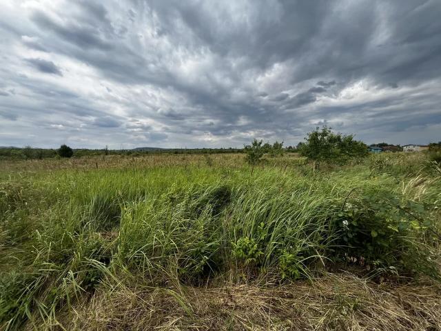Участок продажа в Григорьевская Ст-ца, Краснодарский Край